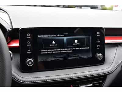 Skoda Fabia 1.0 TSI Monte Carlo DSG ACC TRAVEL CAM KESSY NEUVE (2026) - Foto 11