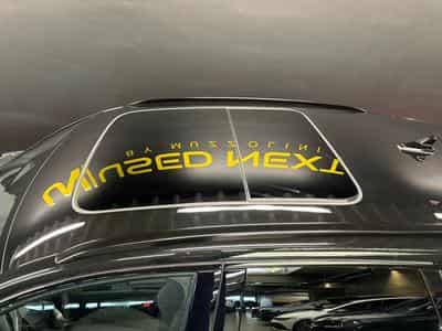 Cupra Terramar VZ 2.0 TSI 265cv 4x4 PANO/ATTELAGE/CAM360 (2026) - Photo 11