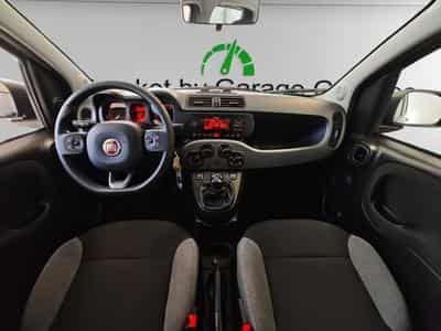 Fiat Panda Life My22 (2022) - Foto 13