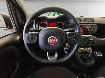 Fiat Panda Life My22 (2022) - Foto 14