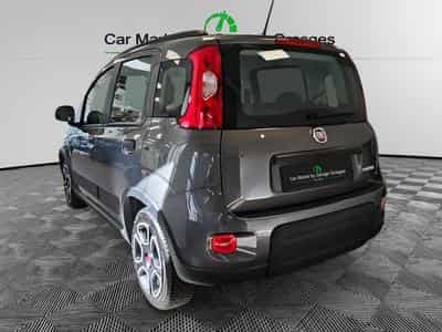 Fiat Panda Life My22 (2022) - Foto 3