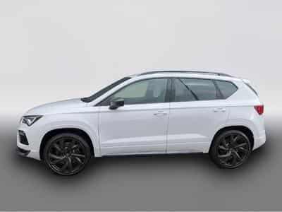 Cupra Ateca (2025) - Foto 3