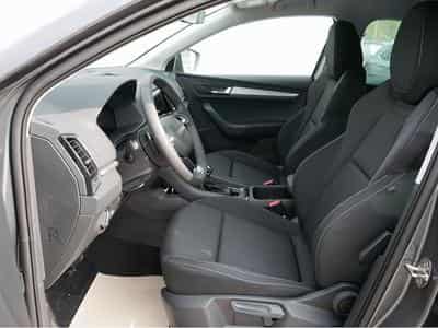 Skoda Karoq (2026) - Foto 9