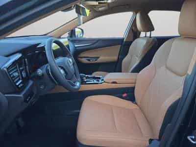 Lexus NX Executive Line / Hybrid (2025) - Photo 12