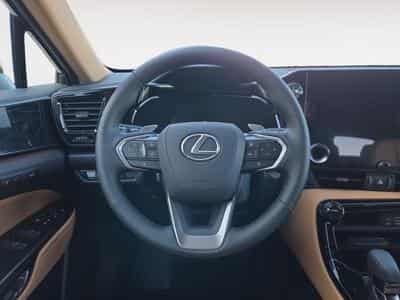 Lexus NX Executive Line / Hybrid (2025) - Photo 14