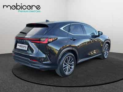 Lexus NX Executive Line / Hybrid (2025) - Photo 2