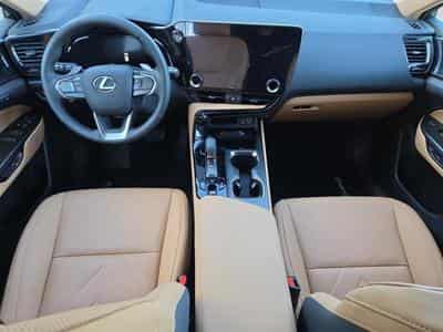 Lexus NX Executive Line / Hybrid (2025) - Photo 3