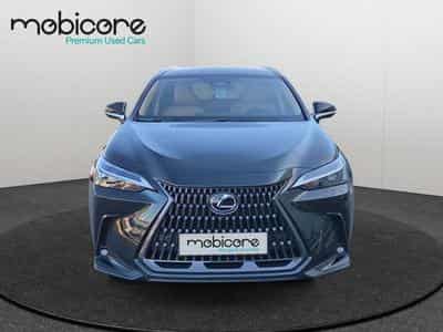 Lexus NX Executive Line / Hybrid (2025) - Photo 4