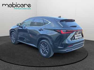 Lexus NX Executive Line / Hybrid (2025) - Photo 5