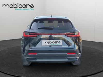 Lexus NX Executive Line / Hybrid (2025) - Photo 6