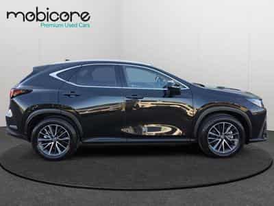 Lexus NX Executive Line / Hybrid (2025) - Photo 7