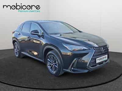 Lexus NX Executive Line / Hybrid (2025) - Photo 8