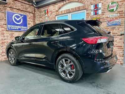 Ford Kuga Kuga 2.0 EcoBlue 150cv ST-LINE X (2022) - Photo 2