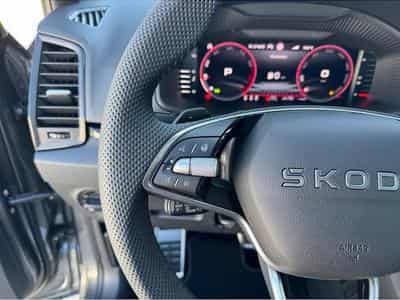 Skoda Karoq (2026) - Foto 12