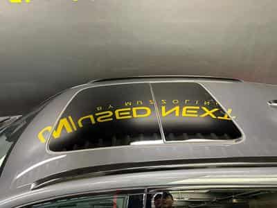 Cupra Terramar VZ 2.0 TSI 265cv 4x4 PANO/ATTELAGE/CAM360 (2026) - Photo 13