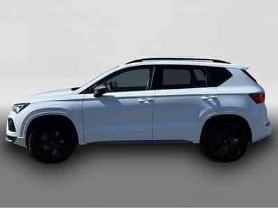 Cupra Ateca (2026) - Foto 2