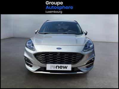 Ford Kuga 2.0 TDCI  fwd Auto ST-LINE X (2023) - Foto 2