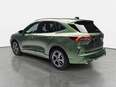 Ford Kuga 1.5 EcoBoost 186 Auto ST-Line (2025) - Photo 4