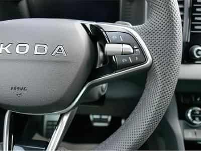 Skoda Karoq (2026) - Foto 13