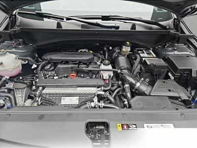 Kia Sportage (2026) - Foto 14