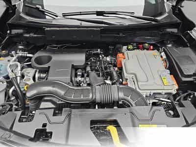 Nissan Juke (2026) - Photo 14