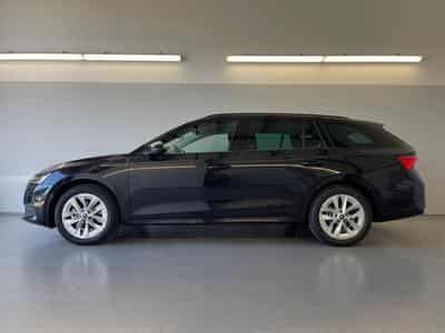 Skoda Octavia Selection (2026) - Photo 3