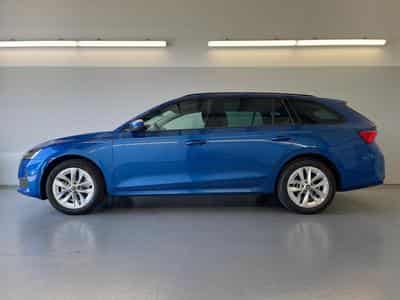 Skoda Octavia Selection (2026) - Foto 3