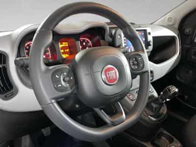 Fiat Panda 1.0 Hybrid 70 MT6 Garmin (2022) - Photo 8