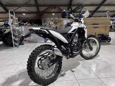 Beta Alp 4.0 (2025) - Photo 3