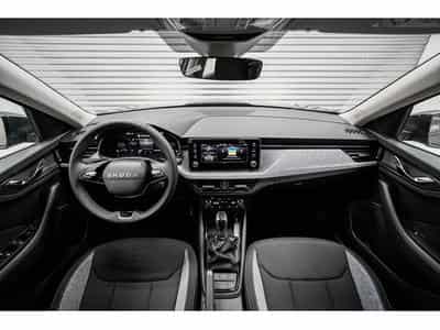 Skoda Kamiq (2026) - Foto 6