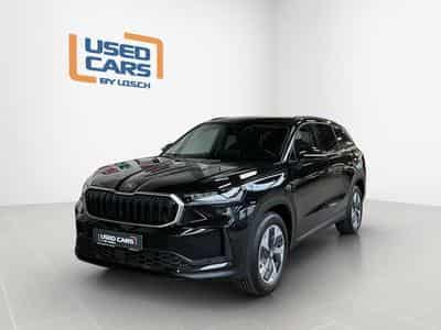 Skoda Kodiaq Selection+DSG+4x4+Stand-H.+Light&View+P.Conv. (2025) - Photo 1