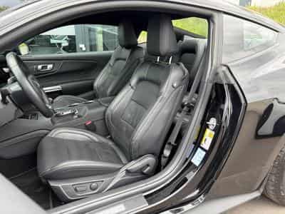 Ford Mustang Mustang Fastback 5.0 V8 GT/ MAGNERIDE/ (2025) - Photo 5