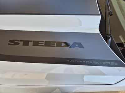 Ford Mustang STEEDA Q767 (2024) - Photo 9