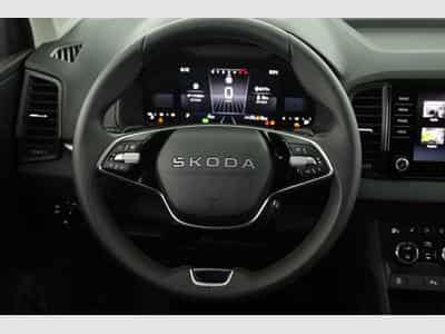 Skoda Karoq Selection (2026) - Foto 5
