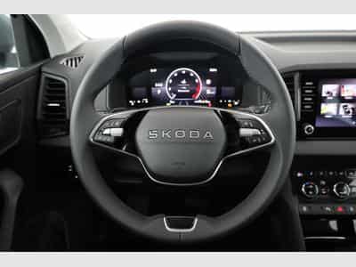 Skoda Karoq Selection (2026) - Foto 5