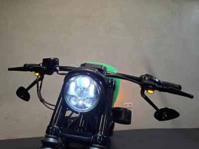 Harley-Davidson Iron 883 XL883N Green Racing (2015) - Photo 12