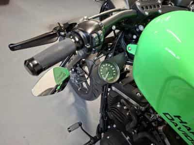 Harley-Davidson Iron 883 XL883N Green Racing (2015) - Photo 13