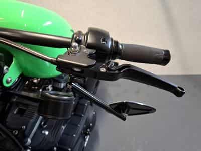 Harley-Davidson Iron 883 XL883N Green Racing (2015) - Photo 14