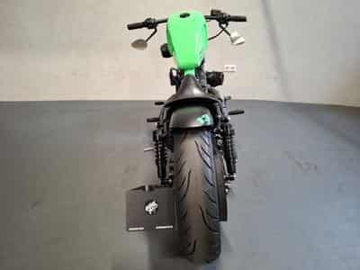 Harley-Davidson Iron 883 XL883N Green Racing (2015) - Photo 3