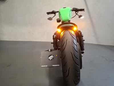 Harley-Davidson Iron 883 XL883N Green Racing (2015) - Photo 9