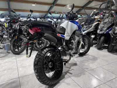 Moto Guzzi Stelvio PFF Rider Assistance Solution 1000  Duecento Tributo (2026) - Foto 3