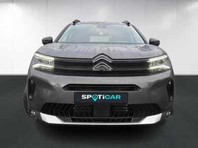 Citroen C5 Aircross Business (2025) - Foto 2