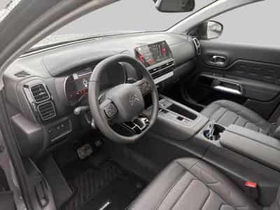 Citroen C5 Aircross Business (2025) - Foto 11