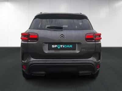 Citroen C5 Aircross Business (2025) - Foto 5