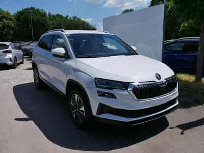 Skoda Karoq Selection 1.5 TSI (2025) - Foto 14