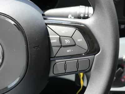 Fiat Panda Pandina Cross Hybride 1.0 (2026) - Photo 14