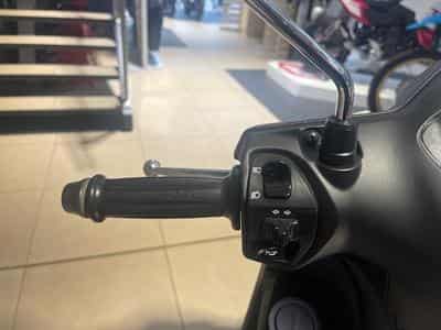 Yamaha D'elight (2026) - Foto 9