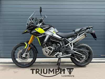 Triumph Tiger TIGER 900 RALLY PRO (2026) - Photo 1