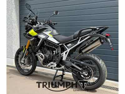 Triumph Tiger TIGER 900 RALLY PRO (2026) - Photo 2