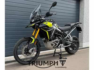 Triumph Tiger TIGER 900 RALLY PRO (2026) - Photo 3